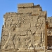 temple_habu_lux_h_0010_egy2107.jpg